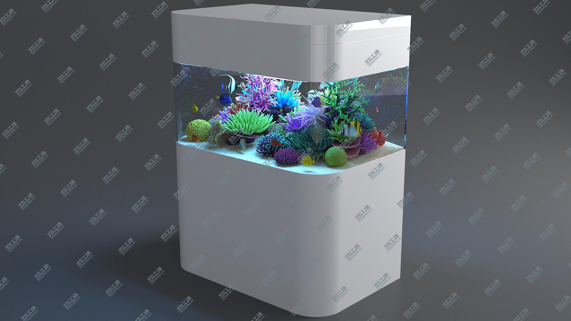 images/goods_img/202104093/3D model Aquarium 05/4.jpg